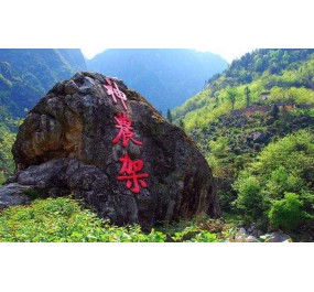 神农架林区“十三五”综合交通运输发展规划