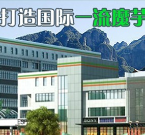 年产2000吨精粉、500吨纯化粉、2500吨魔芋胶和2000吨微粉技改项目